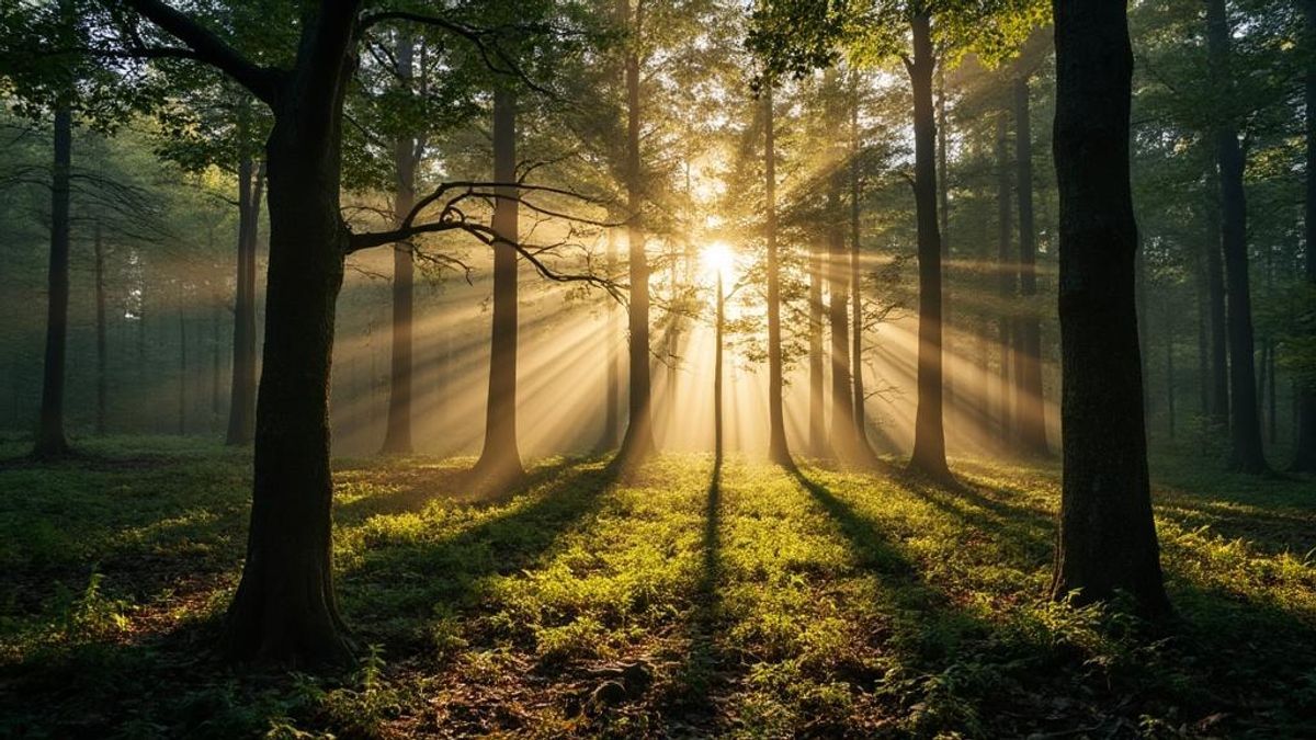 Les id&eacute;es d'escapades familiales &agrave; l'ouest de paris pour changer d'air et cr&eacute;er des souvenirs pr&eacute;cieux